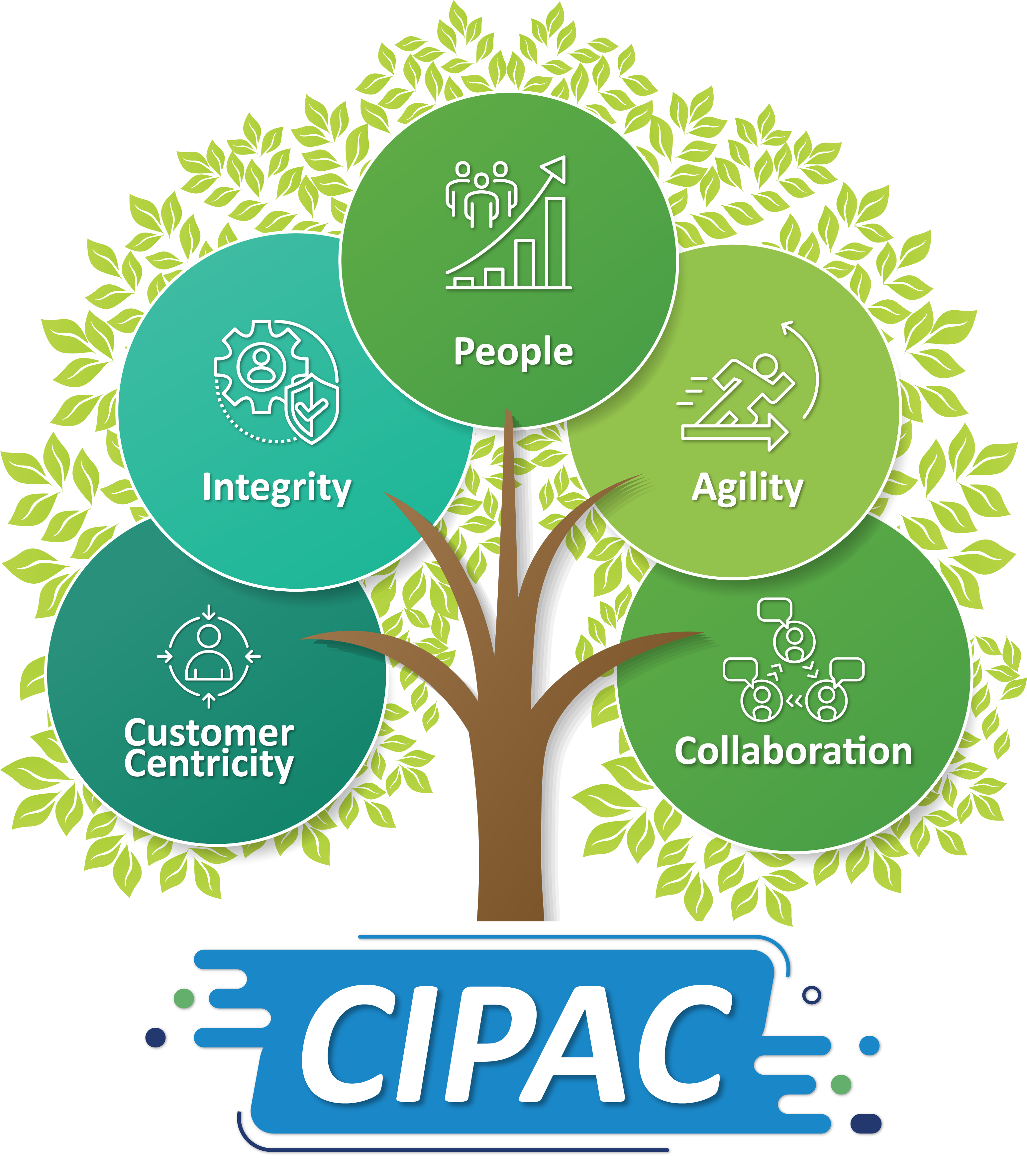 CIPAC Core Values Tree